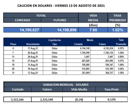 Cauciones burátiles en dólares al 13 de agosto 2021