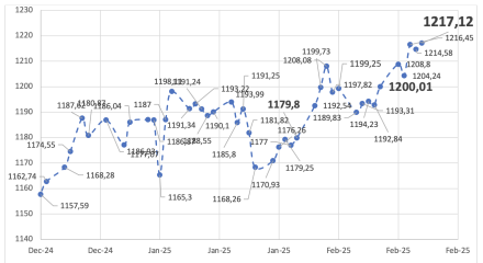 Evolución de las cotizaciones del dólar al 21 de febrero  2025