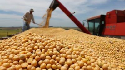 Baja de retenciones: el costo fiscal en soja será de US$300 millones en 2027