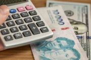 fuerte-demanda-por-el-bono-en-dolares-menos-KAME3G5E4VEXVKJ4PADKL2HOHQ.jpg