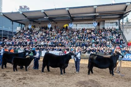 rural-de-palermo-jura-de-grandes-campeones-ASJDIMJZZFCZ5FZ3KVWTU3ADEA.jpg