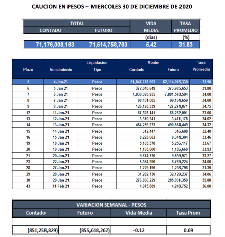 Cauciones bursátiles en pesos al 30 de diciembre 2020