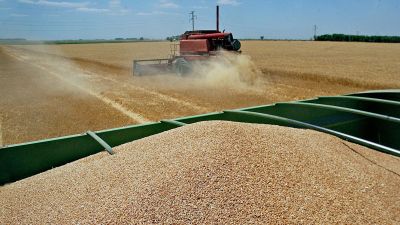 Qué sería la Argentina sin la "maldición" de exportar alimentos: menos dólares y menos empleo