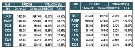 Bonos argentinos en pesos al 20 de enero 2023