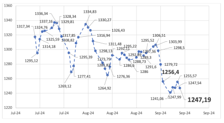 Evolución de las cotizaciones del dólar al 13 de septiembre 2024