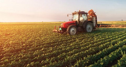 La agroindustria retomó el ingreso de divisas: cuánto se operó