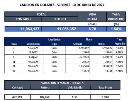 Cauciones bursátiles en dólares al 10 de Junio 2022