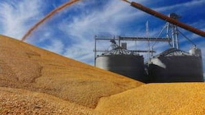 Menos incertidumbre y una apuesta a la mayor liquidación del campo