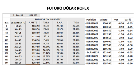 Evolución de las cotizaciones del dólar al 21 de febrero  2025