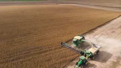 Suben acciones del agro suben hasta 11%: la reacción del mercado tras el acuerdo entre la Argentina y Estados Unidos