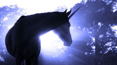 Aún en pandemia, brotan unicornios: cuánto crecieron las start-ups que valen más de u$s 1000 millones en 2021