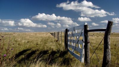 Repuntó el mercado de campos y creen que un cambio político podría sostener la tendencia
