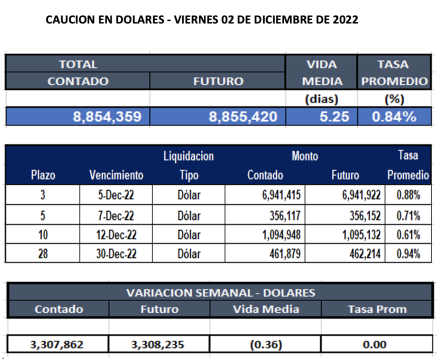 Cauciones bursátiles en dólares al 2 de diciembre 2022