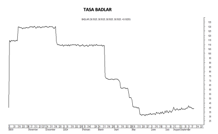 Tasa Badlar al 11 de octubre 2024