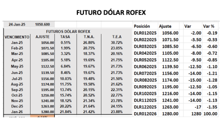 Evolución de las cotizaciones del dólar al 24 de enero 2025