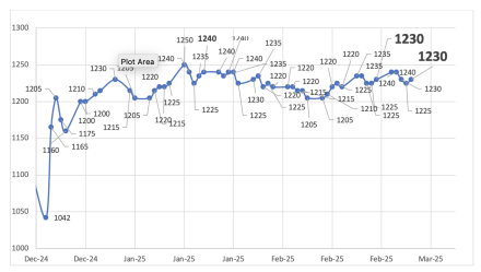 Evolución de las cotizaciones del dólar al 21 de febrero 2025