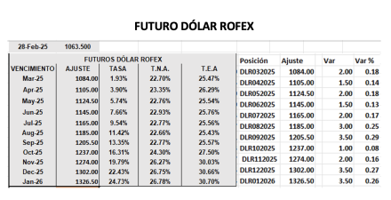 Evolución de las cotizaciones del dólar al 28 de febrero 2025 2025