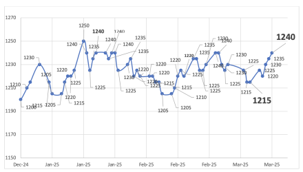Evolución de las cotizaciones del dólar al 14 de marzo 2025 2025