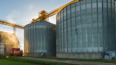 Las relaciones de precios entre la soja y el maíz condiciona los escenarios futuros