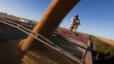 Análisis: la atención sobre los granos está puesta en las variables locales