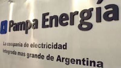 Pampa Energía invertirá u$s 800 millones hasta el año próximo