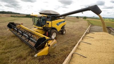 Los agroexportadores liquidaron USD 3.520 millones en julio y más de USD 20.000 millones en lo que va del año