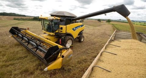 Los agroexportadores liquidaron USD 3.520 millones en julio y más de USD 20.000 millones en lo que va del año