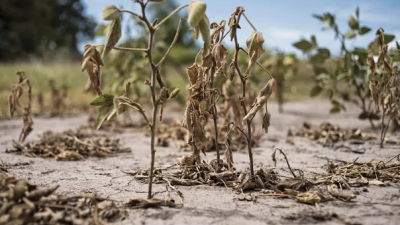 El exministro de Agricultura dio detalles sobre el impacto de la sequía y el derrumbe de la soja