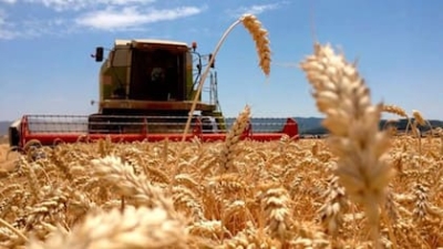 “Doble imposición”: cómo la reforma del Banco Central podría impactar en el campo