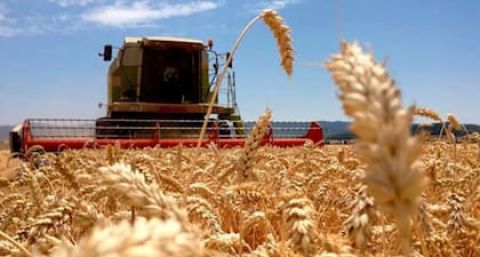 “Doble imposición”: cómo la reforma del Banco Central podría impactar en el campo