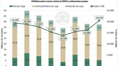 Récord: las exportaciones del complejo soja superarán por primera vez los 20.000 millones de dólares