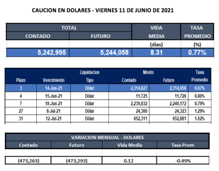 Cauciones bursátiles en dolares al 11 de junio 2021