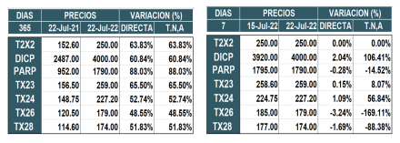 Bonos argentinos en pesos al 22 de julio 2022