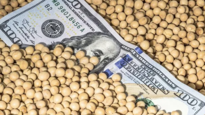 El agro se prepara para una cosecha récord y le aportaría al país más de u$s 31.000 millones este año