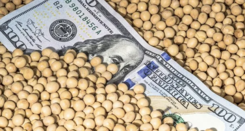 ¿Fin del sueño del agro? El Gobierno ya definió qué hará con las retenciones y el dólar blend