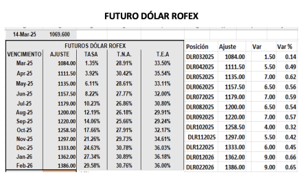 Evolución de las cotizaciones del dólar al 14 de marzo 2025 2025
