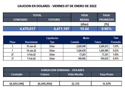Cauciones bursátiles en dólares al 7 de enero 2022
