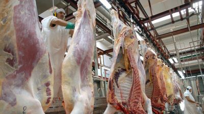 Argentina logró tras 20 años reabrir el mercado de México para la carne vacuna