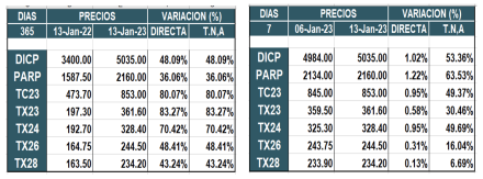 Bonos argentinos en pesos al 13 de enero 2023