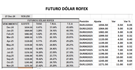 Evolución de las cotizaciones del dólar al 27 de diciembre 2024