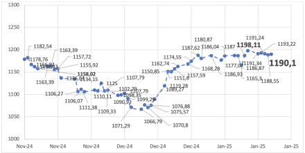 Evolución de las cotizaciones del dólar al 17 de enero 2025