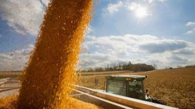 El mejor precio en un año: se aceleraron las ventas de soja y todavía quedan US$11.000 millones en grano por comercializar