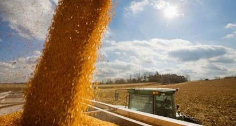 El mejor precio en un año: se aceleraron las ventas de soja y todavía quedan US$11.000 millones en grano por comercializar