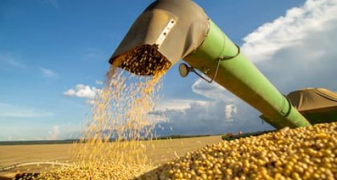 Financiamiento: anunciaron un plan de US$8500 millones para el agro