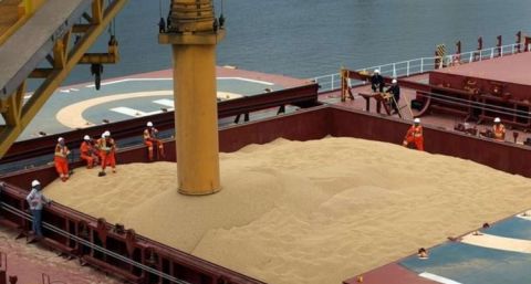 Aporte del campo: estiman récord de producción y más de 3.800 millones de dólares de exportaciones de trigo