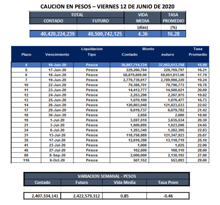 Cauciones bursátiles en pesos al 12 de junio