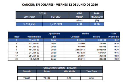 Cauciones bursátiles en dólares al 12 de junio
