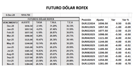 Evolución de las cotizaciones del dólar al 6 de diciembre 2024