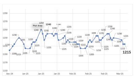 Evolución de las cotizaciones del dólar al 7 de marzo 2025 2025
