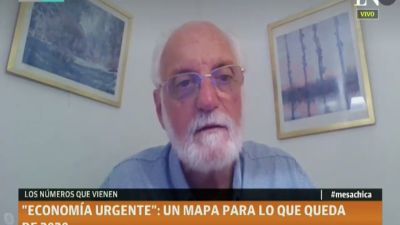 Juan Carlos de Pablo: "Si un alumno mío dice eso, lo bocho", la crítica del economista al Gobierno